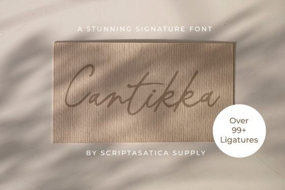 Cantikka Font Review: A Romantic Script for Branding